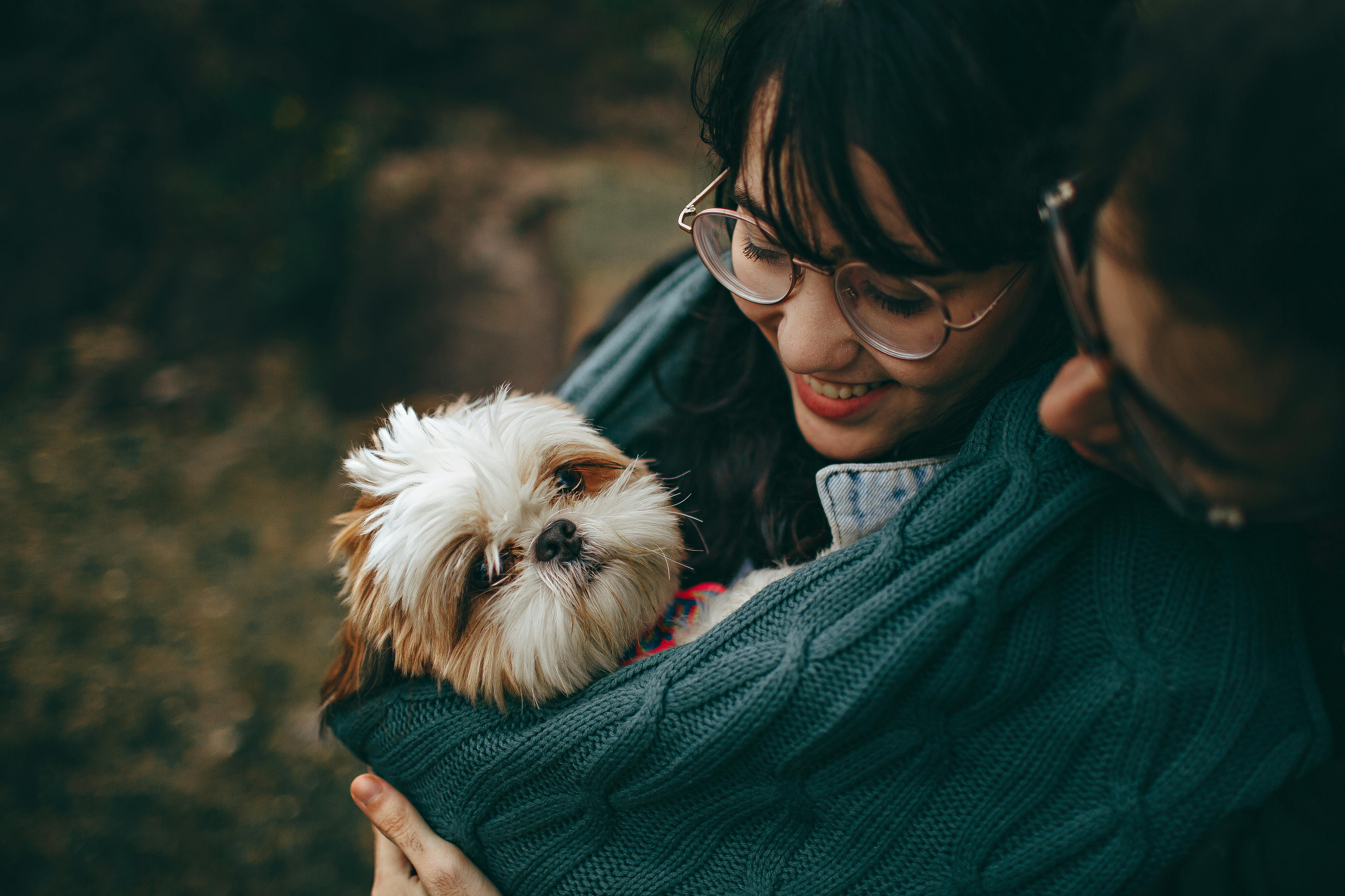 Essential Tips for New Pet Owners