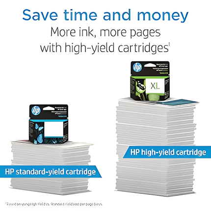 HP 65 Black Ink Cartridge | Works with HP AMP 100 Series