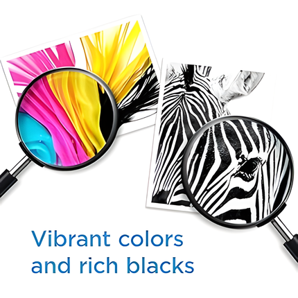 HP 65 Black Ink Cartridge | Works with HP AMP 100 Series