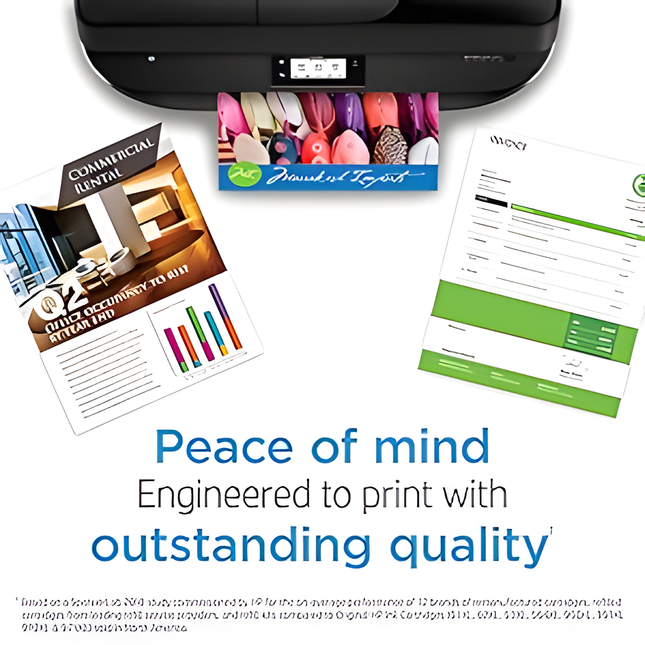 HP 65 Black Ink Cartridge | Works with HP AMP 100 Series
