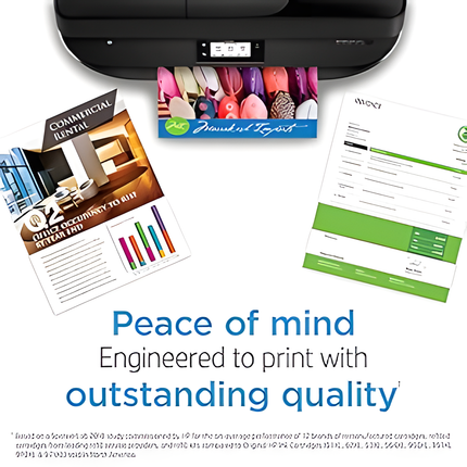 HP 65 Black Ink Cartridge | Works with HP AMP 100 Series